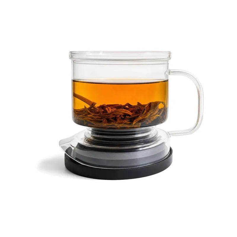 Arbatos ruošimo indas TEA STATION, 0,4 l